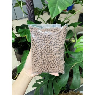 Hạt đất nung popper Thái - Size M 1lit