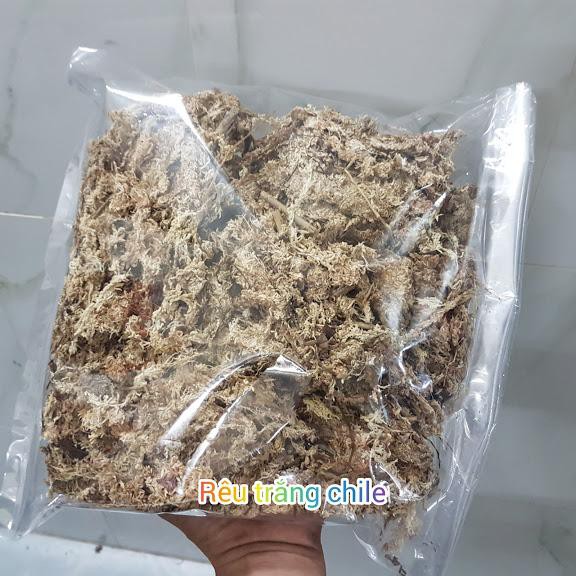 Dớn trắng chile chuyên trồng hồ điệp và giữ ẩm lan (bịch=480g)