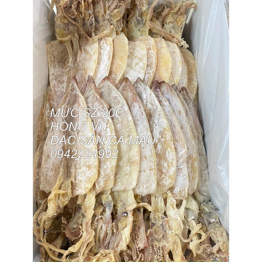 KHÔ MỰC CÀ MAU SIZE 20CON/KG