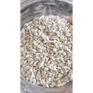 [ Hàng sẵn] 1kg Đá perlite phối trộn giá thể trồng cây các loại.