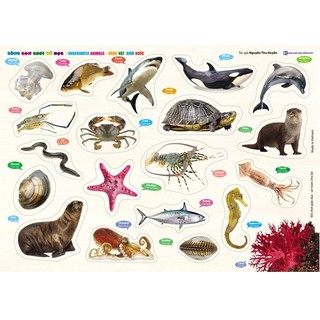 Đồ chơi - Bảng gỗ núm nhựa Cùng Con Chơi và Học - Động Vật Dưới Nước - Underwater Animals
