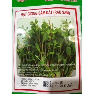 HẠT GIỐNG RAU SAM (SÂM ĐẤT) nhập khẩu-  chuyên dụng.