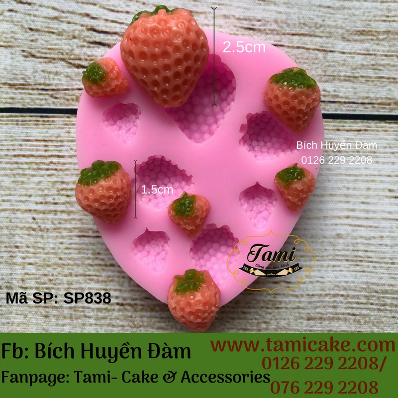 Khuôn Silicon - Vĩ dâu SP838