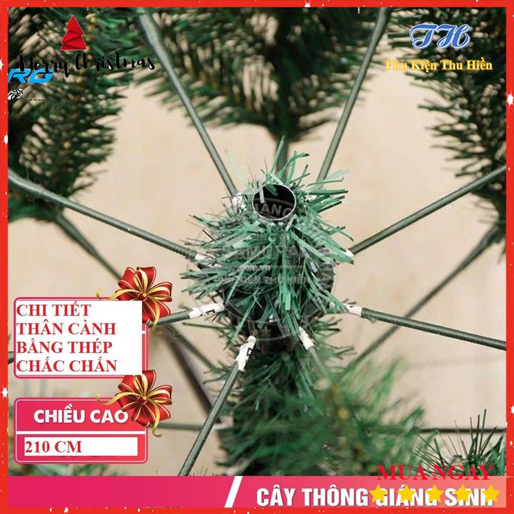 Cây thông noel 2m4 đầu tròn 8' trang trí phòng khách, phòng ngủ, ngoài trời đầy đủ phụ kiện mùa giáng sinh (Hình Thật)