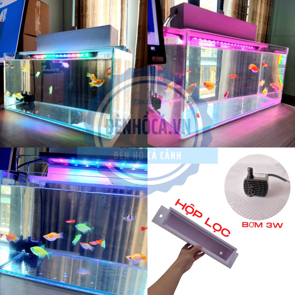Bể cá mini 40cm Full COMBO máy bơm hộp lọc đèn hồ cá