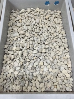 1kg Đá bọt biển trồng Lan