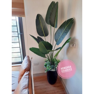 Cây Chuối Cảnh Giả -Cây Chuối Xẻ Quạt 1m2, 1m6 - HÀNG LOẠI ĐẸP LÁ DÀY