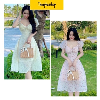 ĐẦM REN HOA NHÍ CÚP NGỰC TAY BÚP HAI MÀU [kèm ảnh thật ]