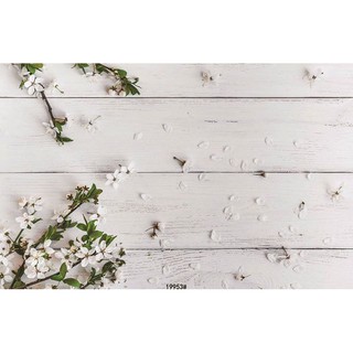 Phông nền 3D chụp ảnh sản phẩm 19953