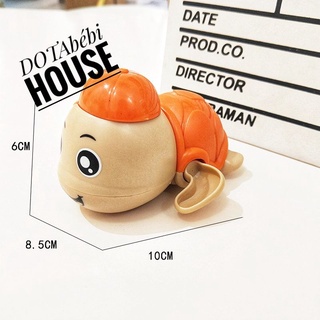 Rùa cót đội mũ tắm nắng