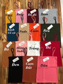 COMBO SỈ