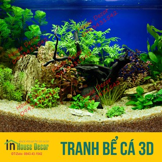 Tranh 3D dán bể cá (kt 50x40,60x40,80x50;90x50;100x50;100x60;120x60cm) Sỏi