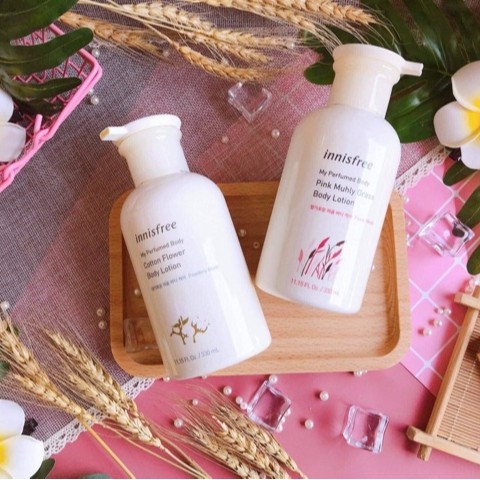 Bông lúa mạch / rơm vàng phụ kiện trang trí chụp ảnh, cành lúa mạch hoa khô cắm bình, lọ decor