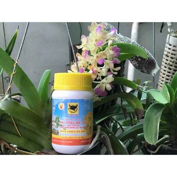 Phân bón NPK, phân bón lá Đầu Trâu chuyên dành cho hoa lan, cây kiểng 100gr/hũ