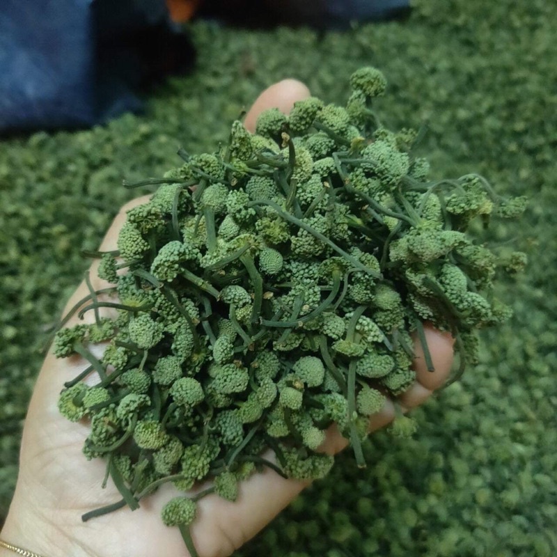Nụ hoa tam thất Hà Giang 1kg nụ tam thất khô, thơm hàng chuẩn Dược Liệu Quý