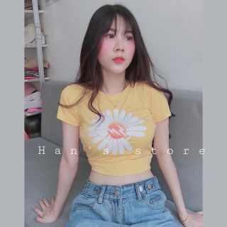 Bộ live 140k