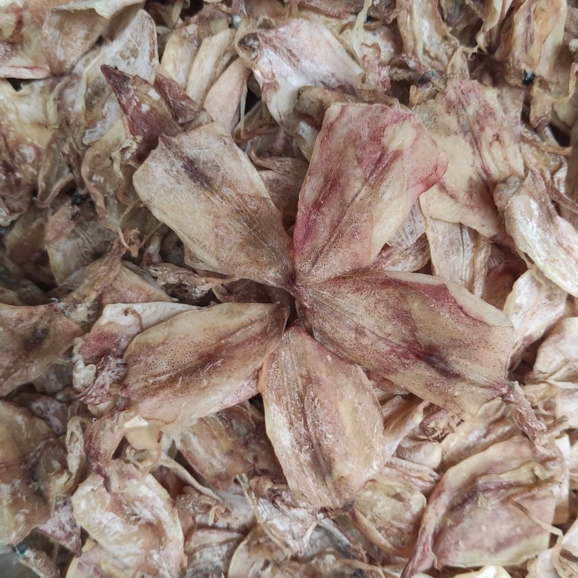 Mực Câu Mini Mới Về Trắng Thơm Ngọt -100gr khoảng 20/23 con- Làm Quà Biếu, Ăn Vặt, Chế Biến Chiên-Nướng-Rim Me | BigBuy360 - bigbuy360.vn