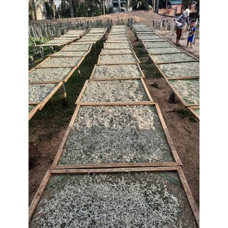 Cá Cơm Hay Cá Trỏng Khô Loại 1 Xuất Khẩu Ngon Xuất Sắc Mới Chuyển Từ Bắc Về Hỗ Trợ Gía Tốt Nhất Bà Con Sài Gòn