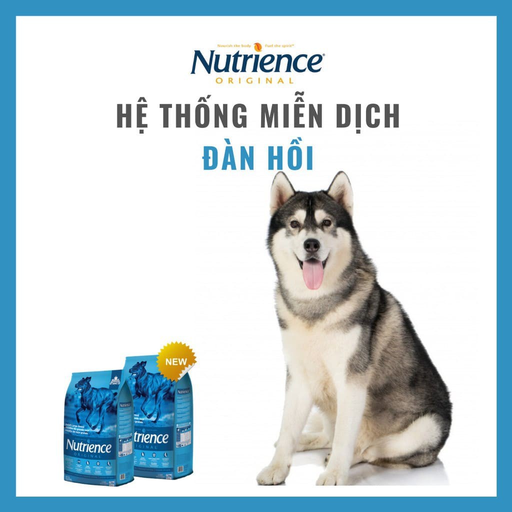 [DINH DƯỠNG CAO] Thức Ăn Cho Chó Đốm (Dalmatian) Nutrience Original Bao 11,5kg - Thịt Gà, Gạo Lứt, Rau Củ Và Trái Cây