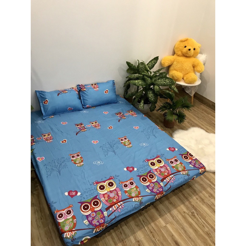 Bộ Ga Gối Poly Cotton chim cú loại đẹp bo chun đủ kích thước + vỏ gối ôm, chất mềm, không phai, không xù lông.