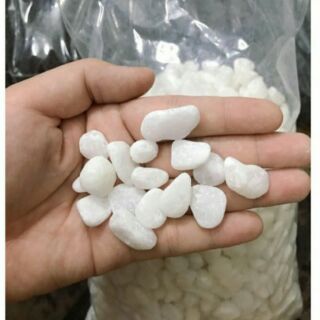 500g sỏi trắng trang trí chậu cây