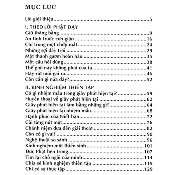 Sách - Đức Phật Bên Trong