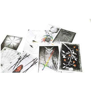Bài The Wild Unknown Tarot Size Thường H2
