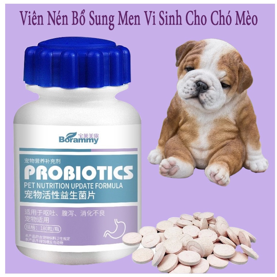 Những vi khuẩn có lợi (probiotic) cho thú cưng