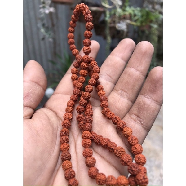 Chuỗi Hạt Mala Rudraksha  - Nhập Khẩu Trực Tiếp Từ Ấn Độ - giữa các hạt được thắt gút thủ công
