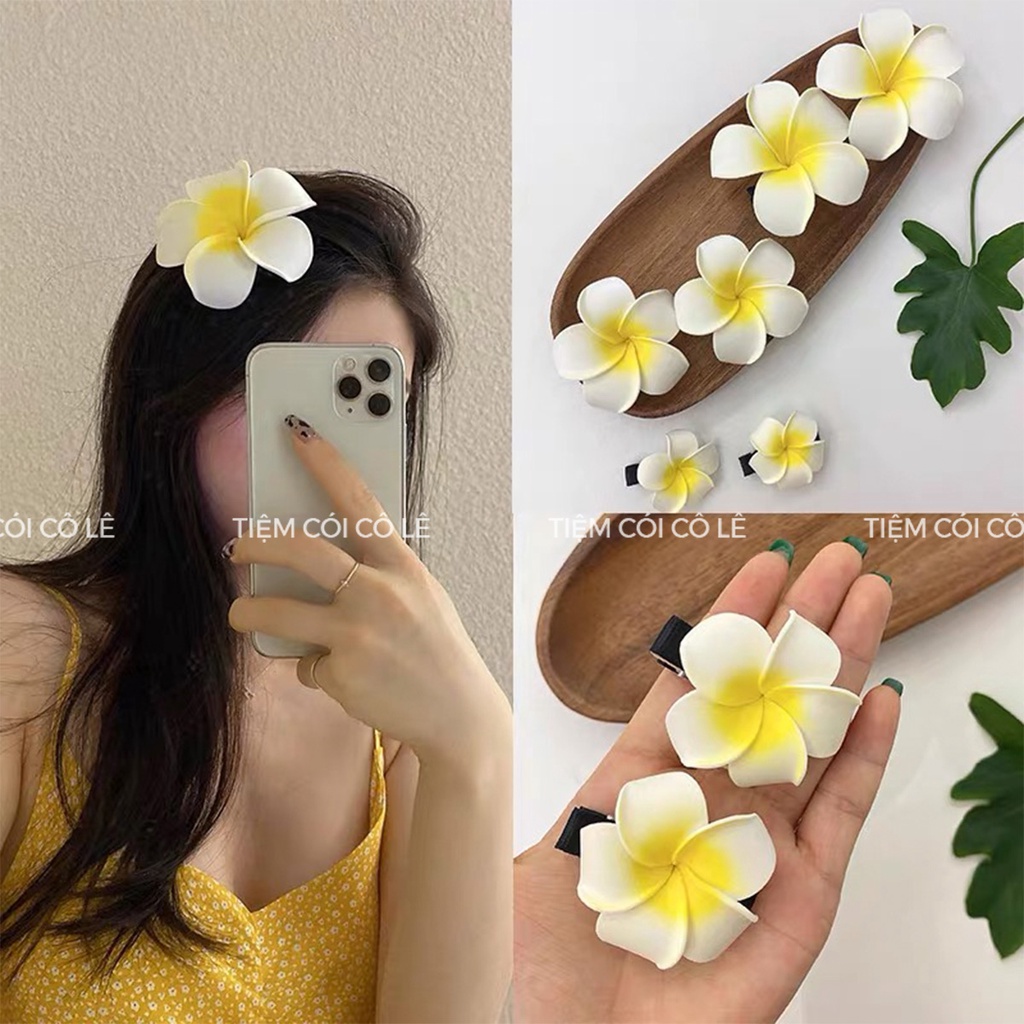 Hoa đại cài tóc, phụ kiện cài tóc đi biển siêu xinh cho bạn gái - Tiệm Cói Cô Lê