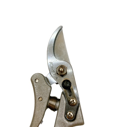 KÉO CẮT CÀNH NHẬT KAPUSI K8618 (kéo thép SK5 cực kì sắc bén)