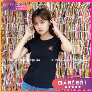 Áo Thun Nữ Cổ Tròn - Vải Borip Cao Cấp - Kiểu Dáng Trẻ Trung Năng Động Cho Các Cô Nàng - Mã 58709