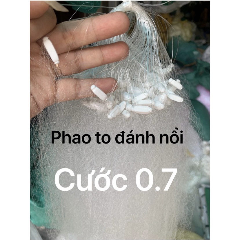 Lưới đánh cá , lưới cước bắt tép , thầu giầu , lòng tong
