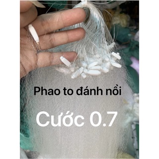 Lưới đánh cá , lưới cước bắt tép , thầu giầu , lòng tong