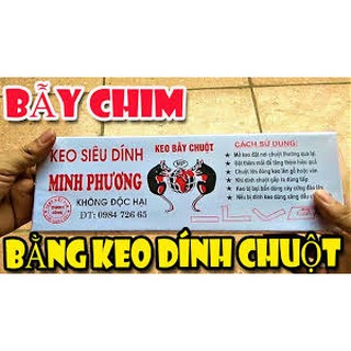 Siêu keo dính chuột đa năng