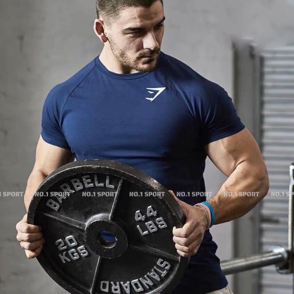 Áo Thun Gymsharks Basic - Bảng Màu Mới