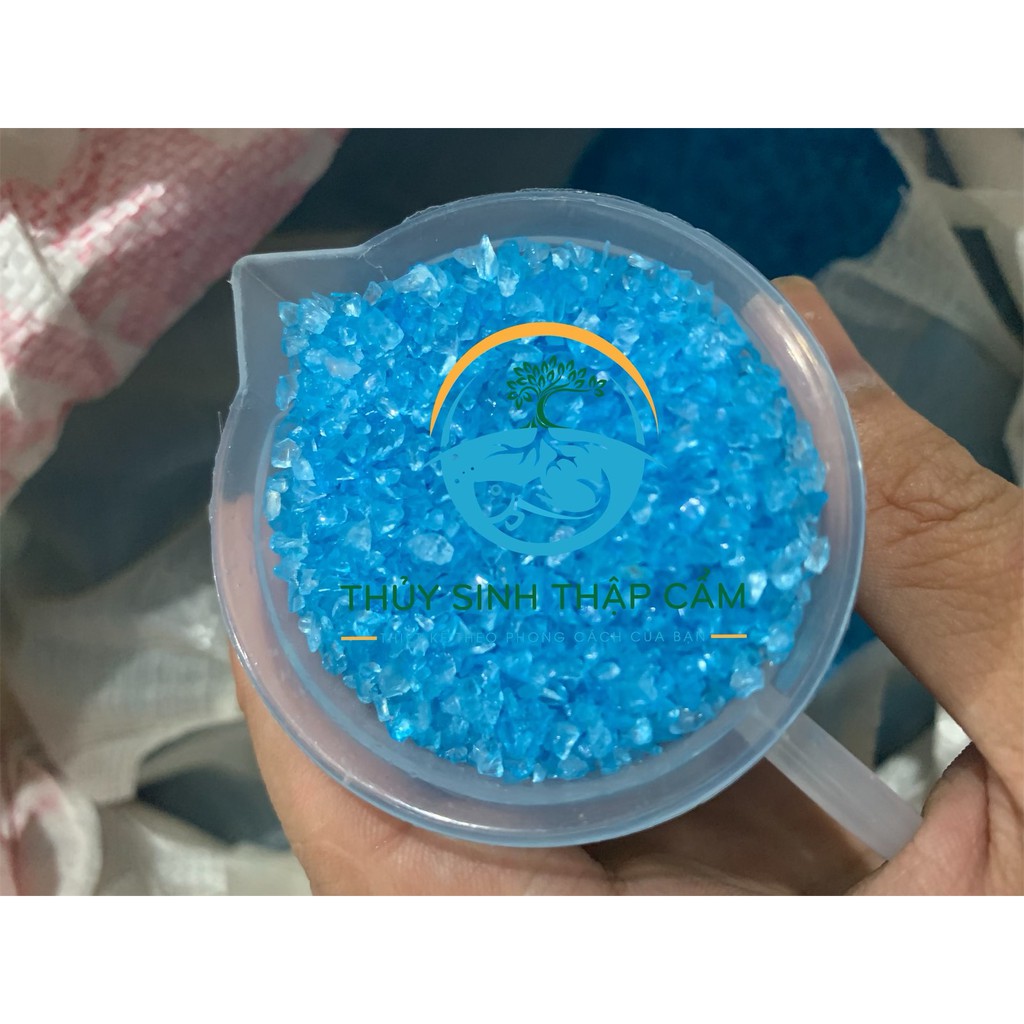 Hạt thủy sinh xanh tạo cảnh biển