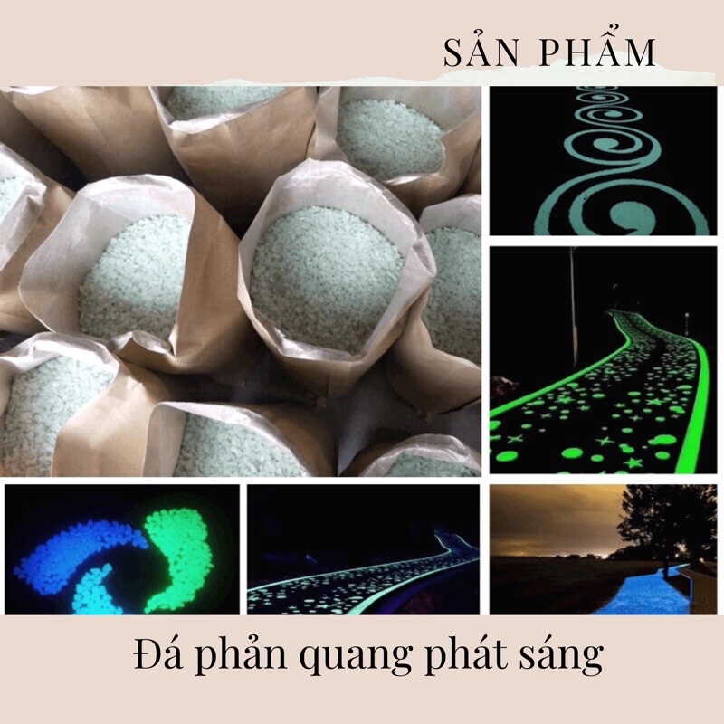 Đá phản quang trang trí sân vườn sỏi huỳnh quang lát sân vườn,bể cá - Đá vụn dạ quang phát sáng trong đêm