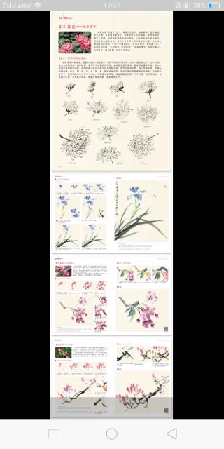 Tập tranh dạy vẽ Hoa, lá, động vật Cổ Phong