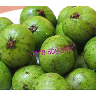Sấu Rim Chua Cay 500GR