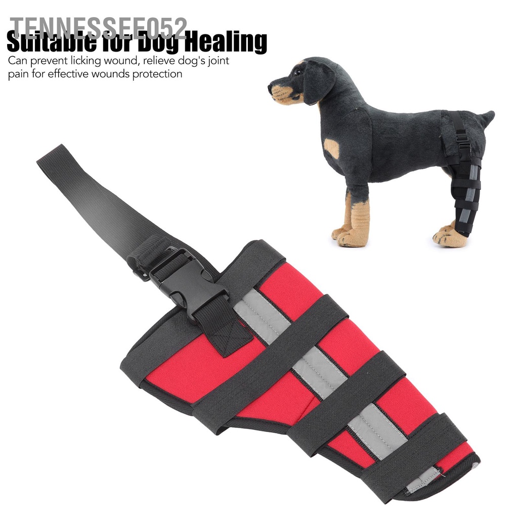 Tennessee052 Cho chó Nẹp chân sau Thoải mái cho Tấm đệm đầu gối để chữa lành cơn đau do phẫu thuật gây ra với dải phản quang