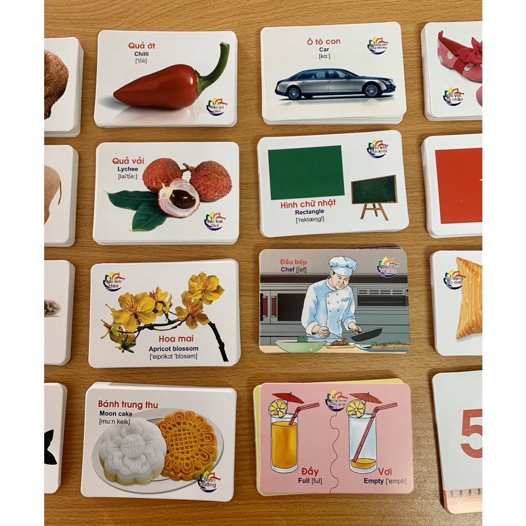 Bộ Thẻ Flashcard Thế giới xung quanh Song Ngữ Tiếng Anh 14 chủ đề theo Glenn Doman