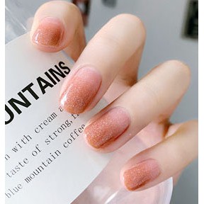 A65 Sơn Móng Tay Nail Styler A65 - Màu nude nâu nhạt thạch kim tuyến nhũ lấp lánh dễ thương đơn giản