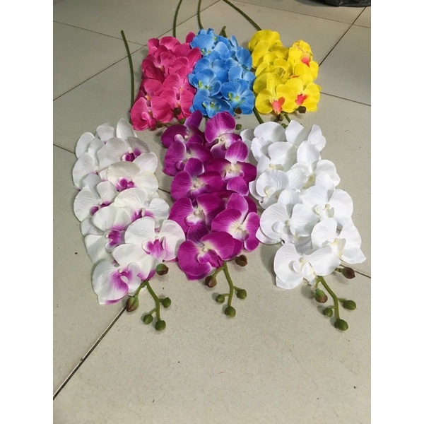 LAN HỒ ĐIỆP 9b