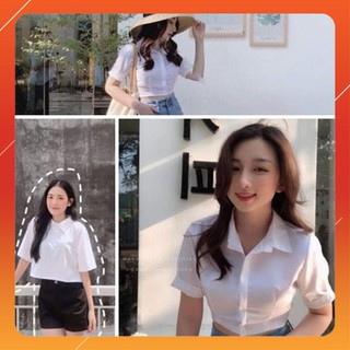 Áo sơ mi croptop ngắn tay dáng ôm nữ