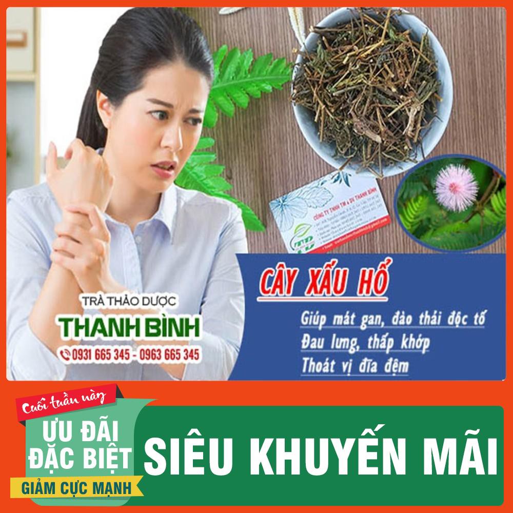 Cây Xấu Hổ (Cây Mắc Cỡ) Khô 100G - Hàng Chất Lượng