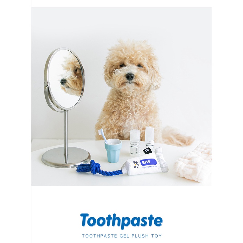 Đồ Chơi Hình Kem Đánh Răng Hàn Quốc Dễ Thương Cho Thú Cưng