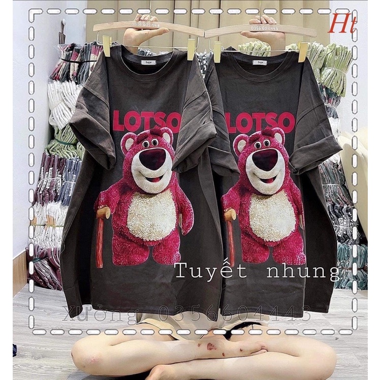 Áo phông gấu Losto H2A865