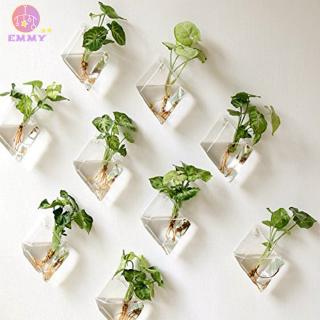 Chậu cây thủy tinh trong suốt treo trang trí nhà/văn phòng