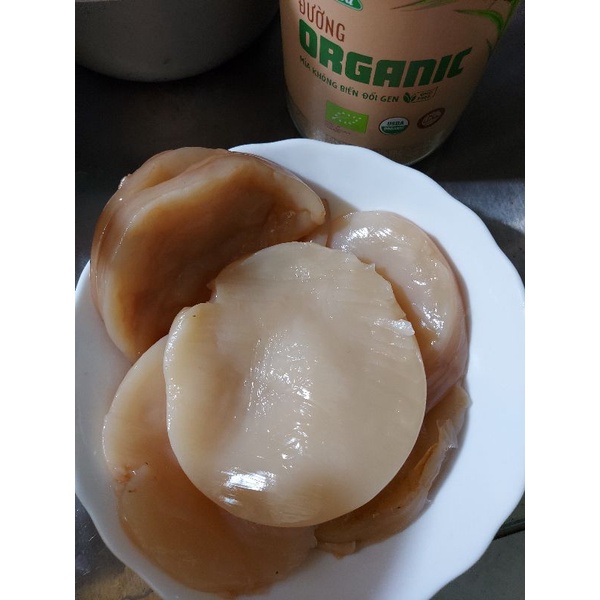 Scoby làm trà combucha